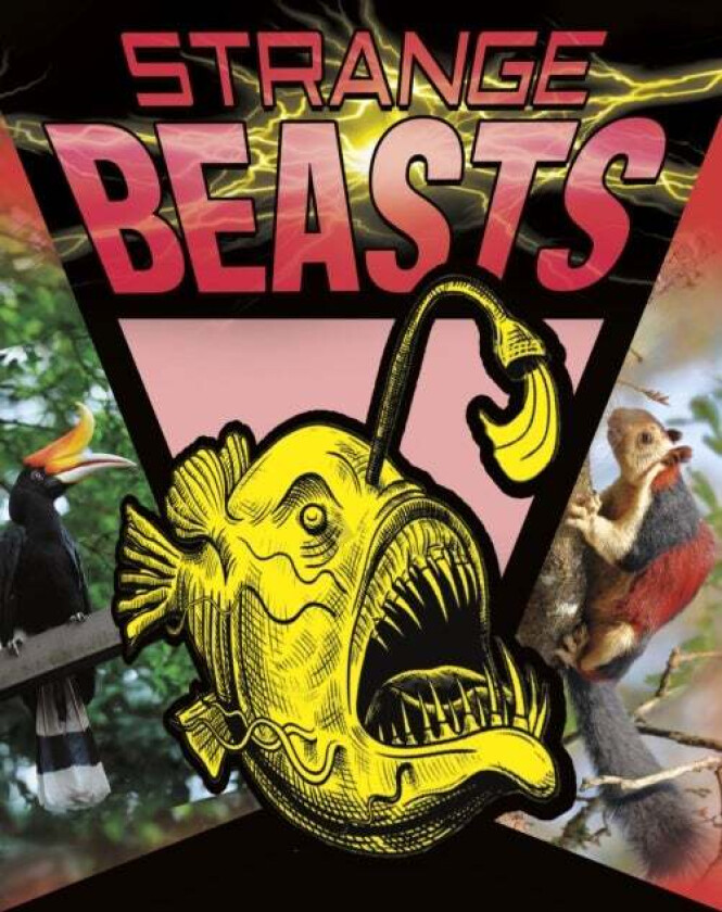 Strange Beasts av Nel Yomtov