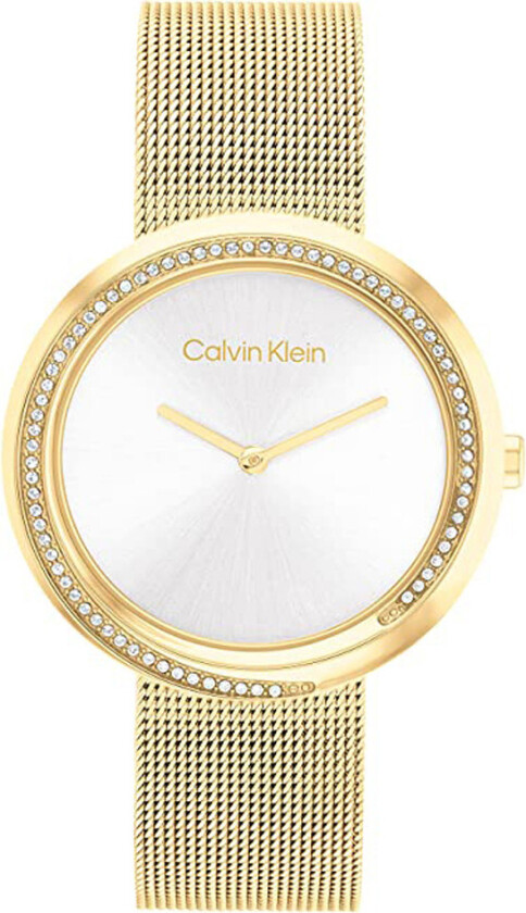Calvin Twist Dameklokke Calvin Klein 25200150