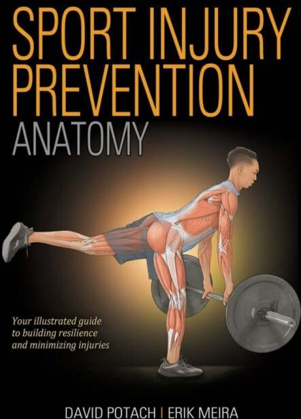 Sport Injury Prevention Anatomy av David Potach, Erik Meira