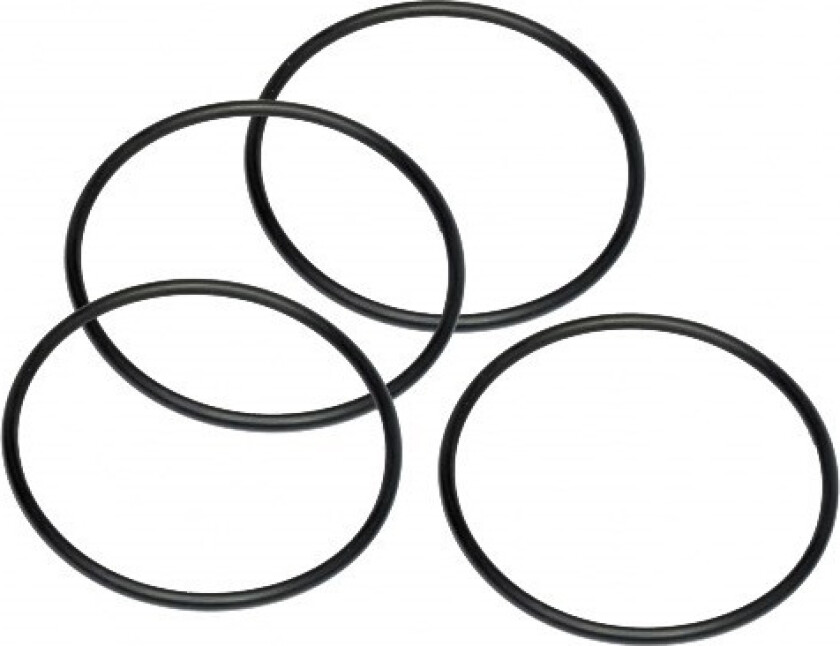 O-Ring