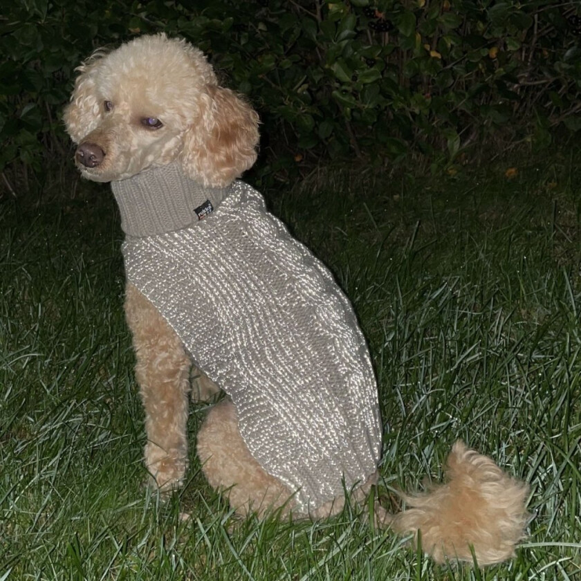 Rukka Sparky Hundtegenser Reflekterande Beige (S)