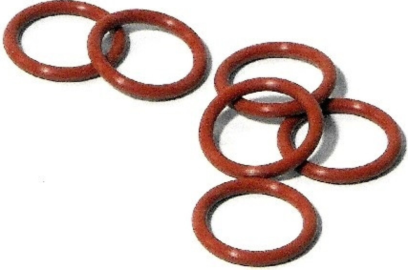 Silicone O-Ring S10