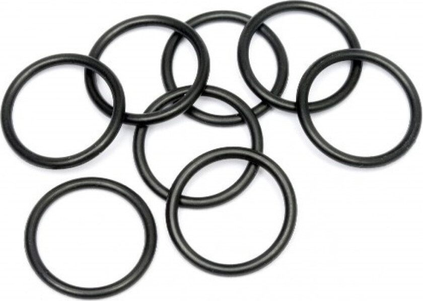 O-Ring P20