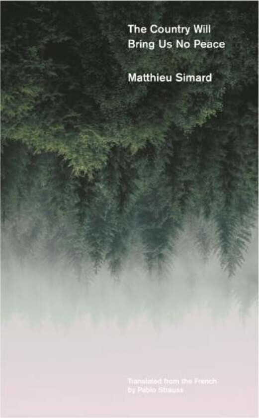 The Country Will Bring Us No Peace av Matthieu Simard