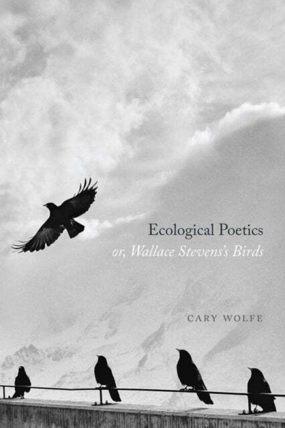 Ecological Poetics; Or, Wallace Stevens's Birds av Cary Wolfe