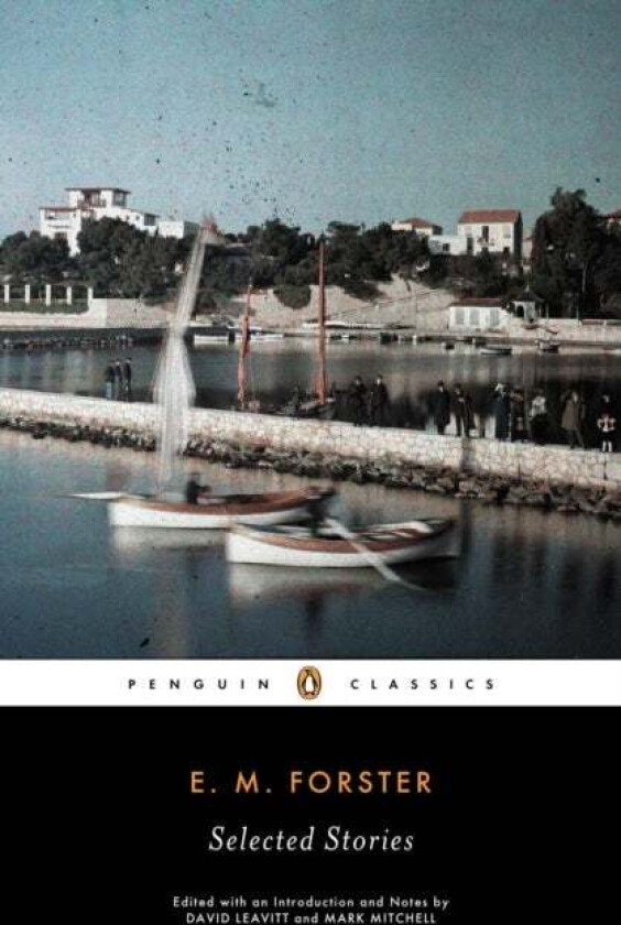 Selected Stories av E.M. Forster
