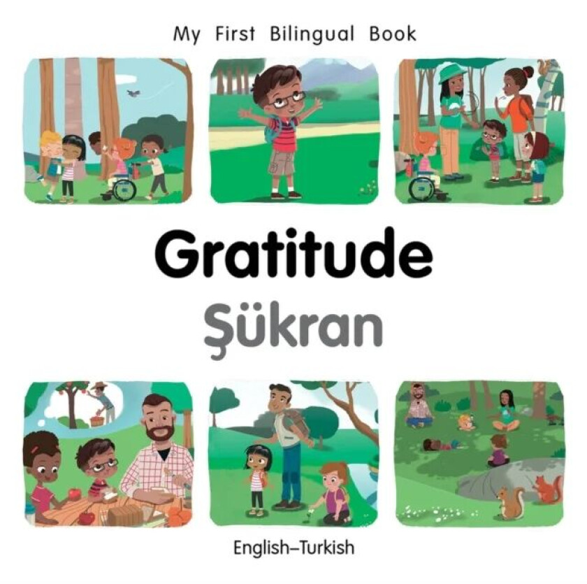 My First Bilingual Book-Gratitude (English-Turkish) av Patricia Billings