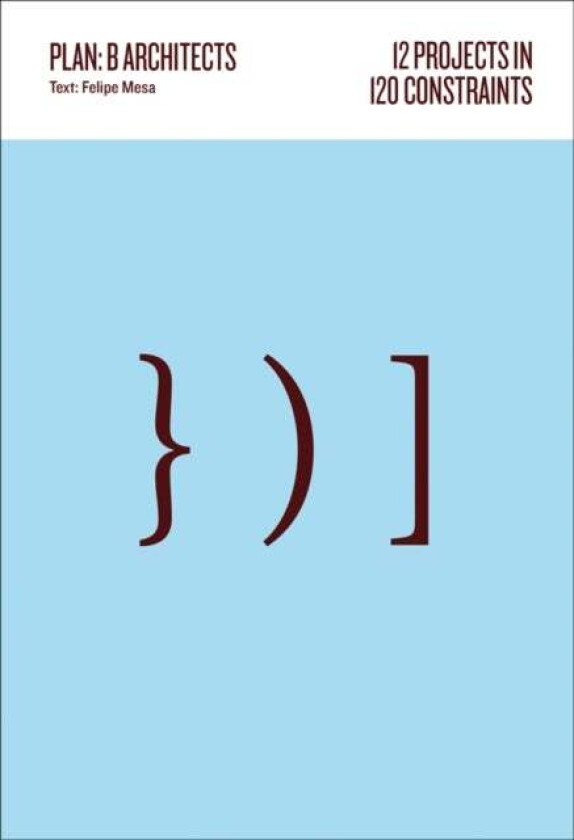 12 Projects in 120 Constraints av Felipe Mesa, Federico Mesa