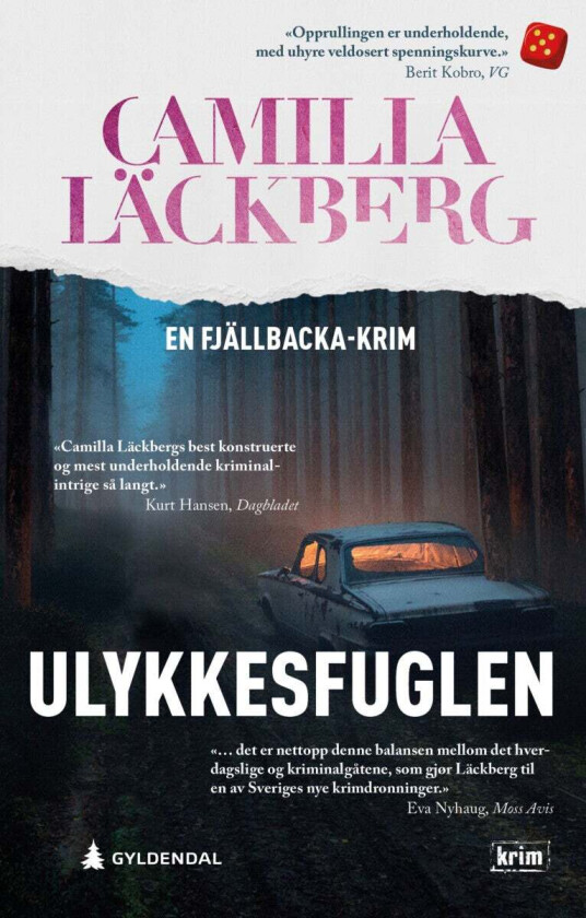 Ulykkesfuglen av Camilla Lackberg