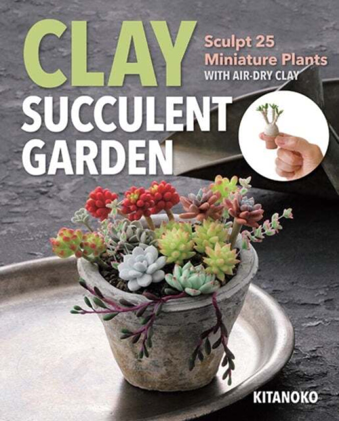 Clay Succulent Garden av Kitanoko