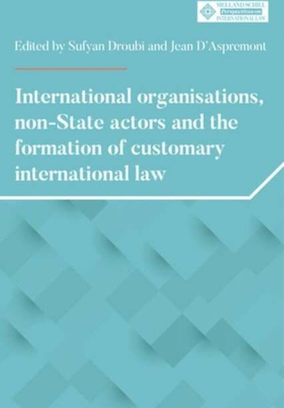 International Organisations, Non-State Actors, and the Formation of Customary International Law