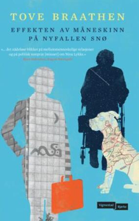 Effekten av måneskinn på nyfallen snø av Tove Braathen