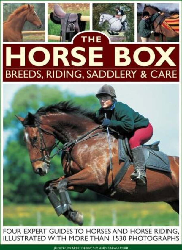 Horse Box: Breeds, Riding, Saddlery & Care av Muir Sarah