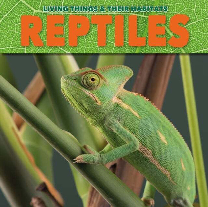 Reptiles av Grace Jones