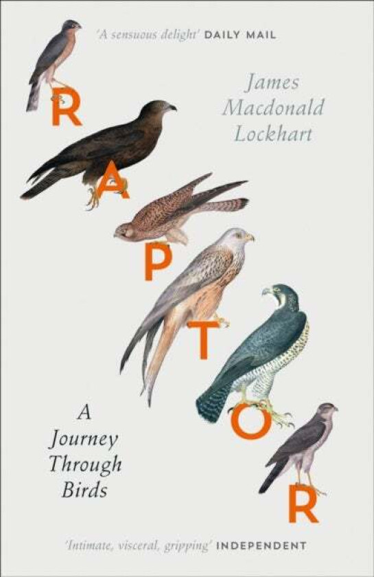 Raptor av James Macdonald Lockhart