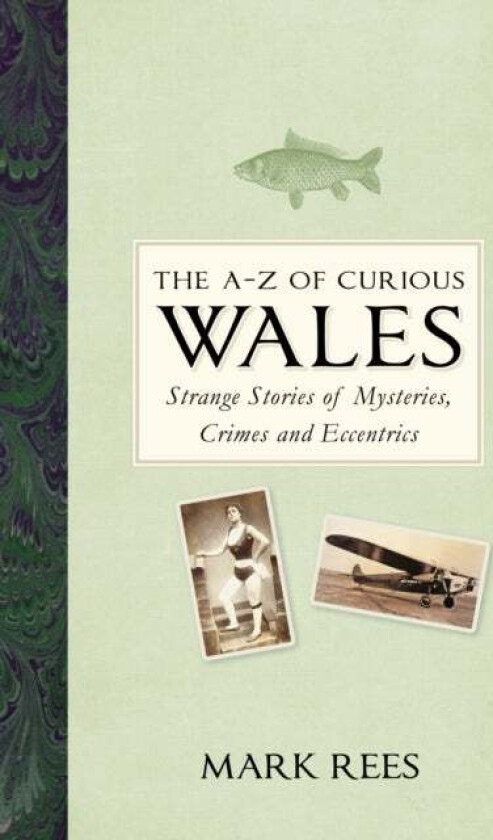 The A-Z of Curious Wales av Mark Rees