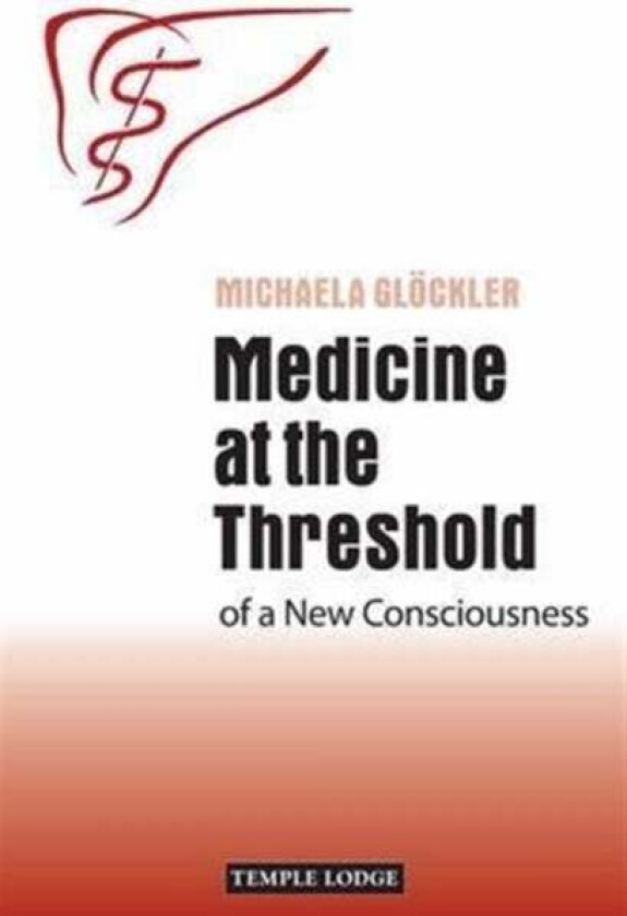 Medicine at the Threshold av Michaela Glöckler