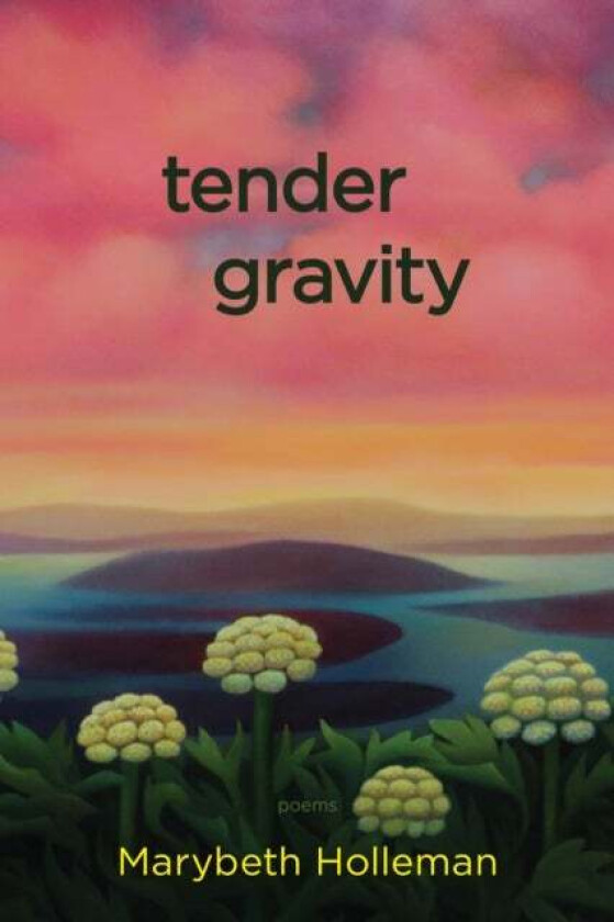 tender gravity av Marybeth Holleman