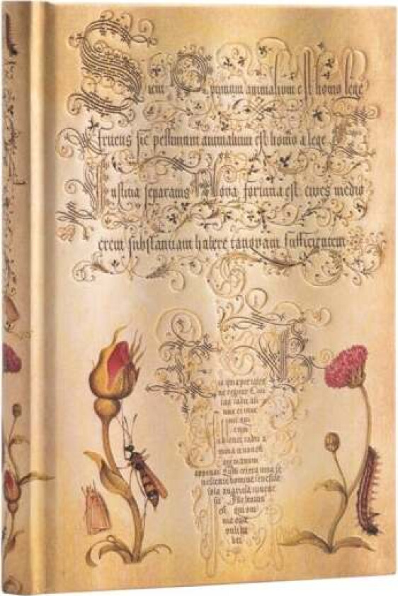 Flemish Rose (Mira Botanica) Midi Unlined Hardcover Journal Av Paperblanks