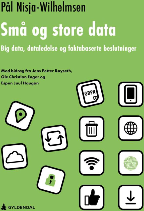 Små og store data av Pål Nisja-Wilhelmsen