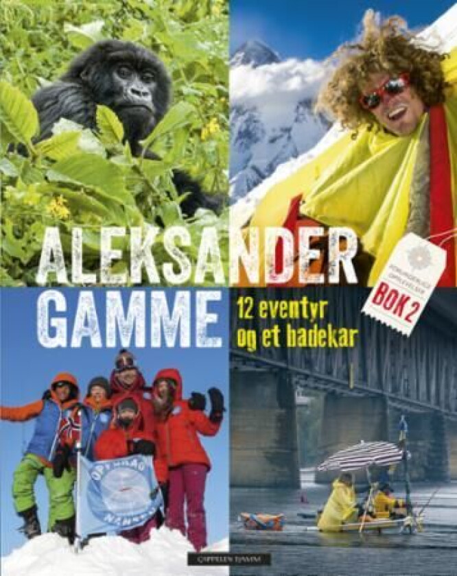 12 eventyr og et badekar av Aleksander Gamme