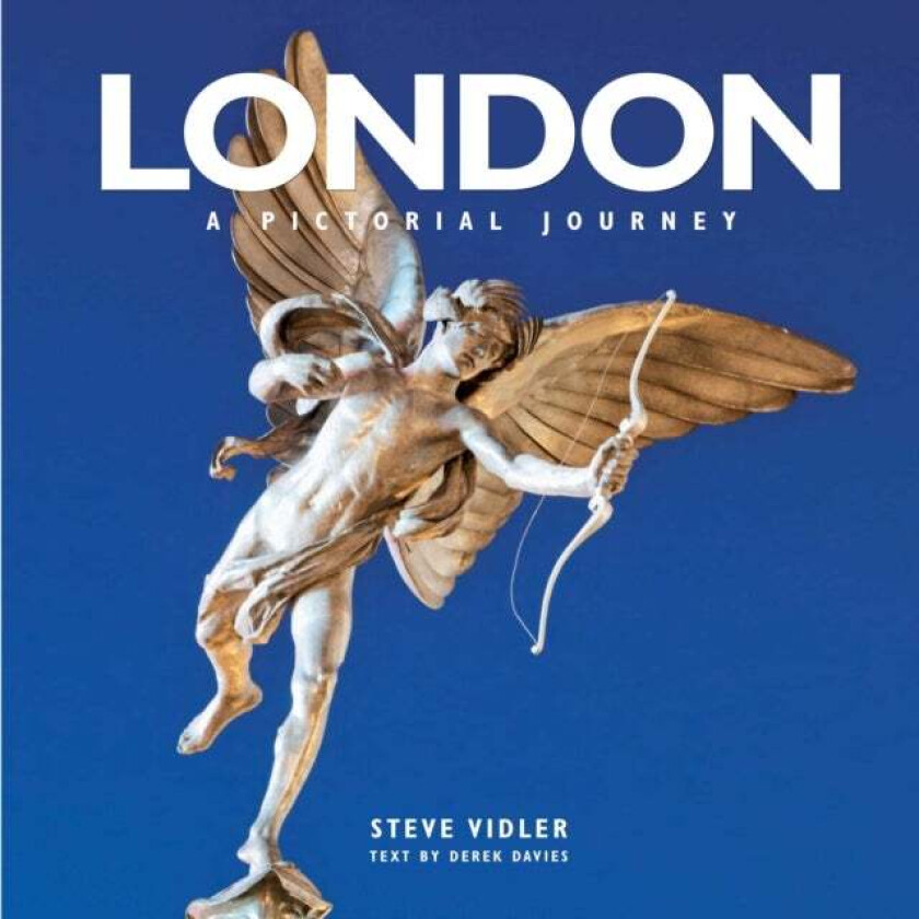 London a Pictorial Journey av Steve Vidler