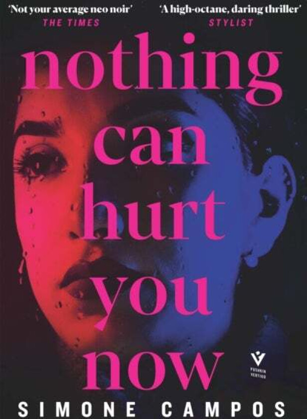 Nothing Can Hurt You Now av Simone Campos