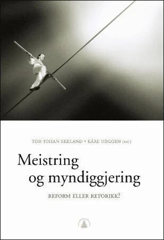 Meistring og myndiggjering