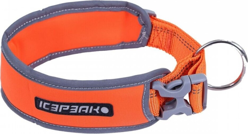 IcePeak Brightly Hundehalsbånd Oransje Neon (S)