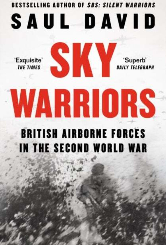 Sky Warriors av Saul David