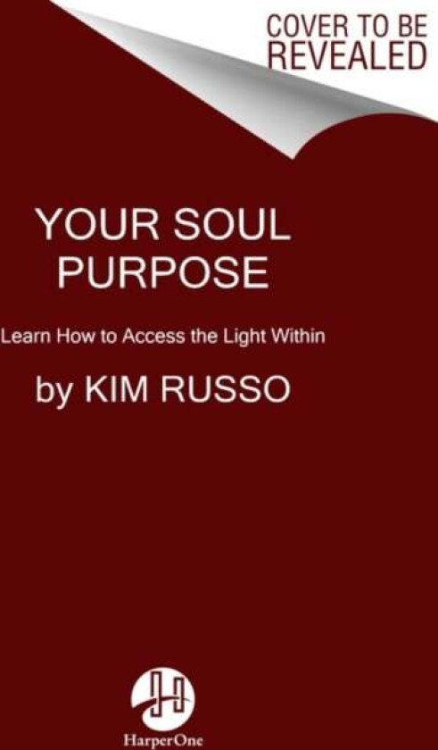 Your Soul Purpose av Kim Russo