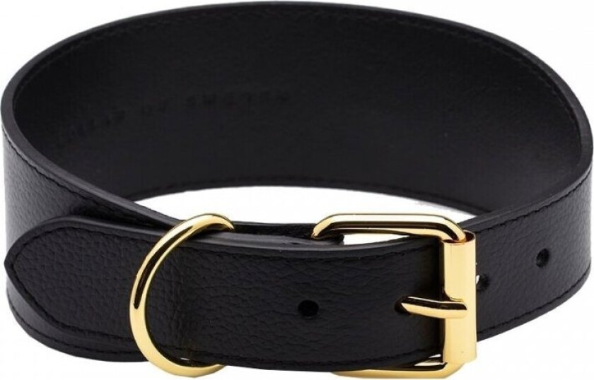 Collar of Sweden Brett Hundehalsbånd Svart (M)