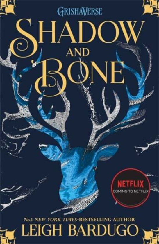 Shadow and bone av Leigh Bardugo