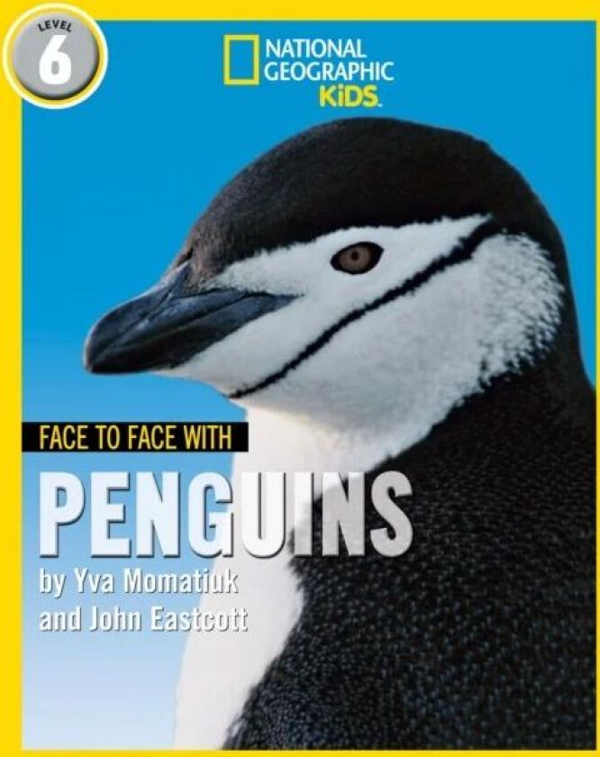Face to Face with Penguins av Yva Momatiuk, John Eastcott