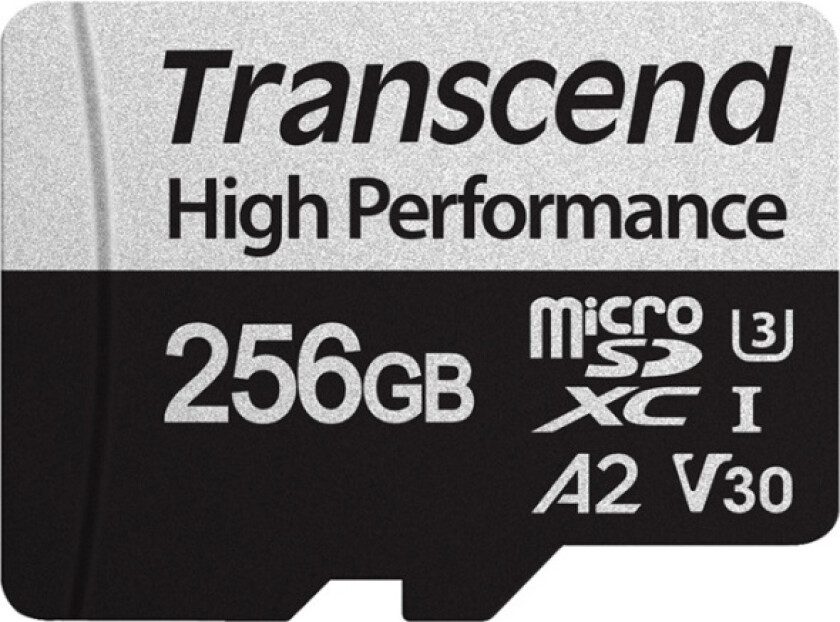 microSDXC 256GB U3