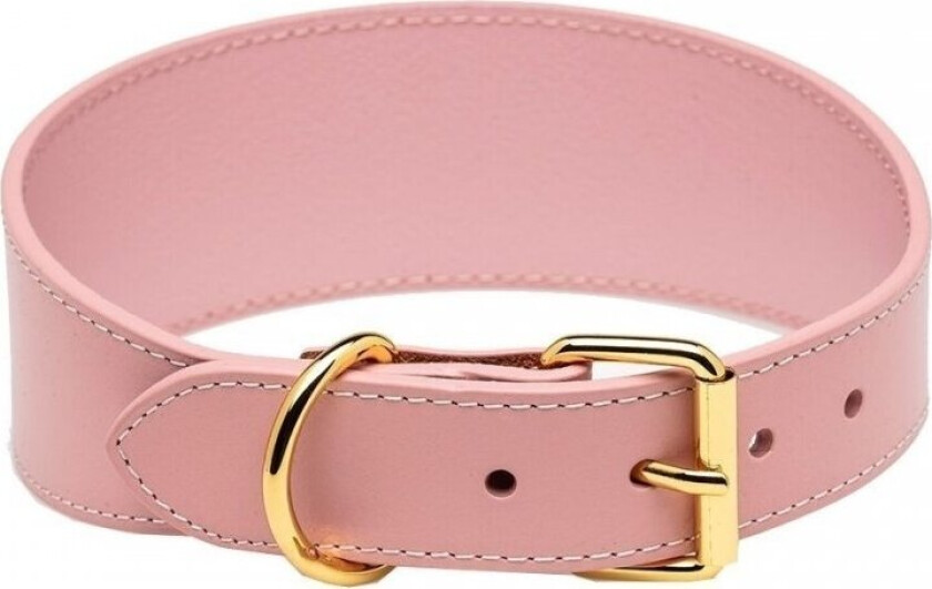Collar of Sweden Brett Hundehalsbånd Lysrosa (M)