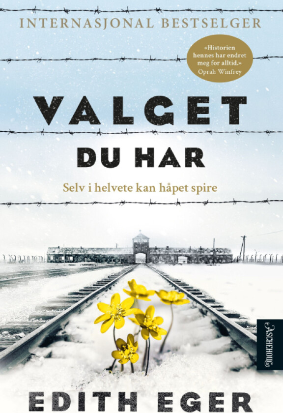 Valget du har