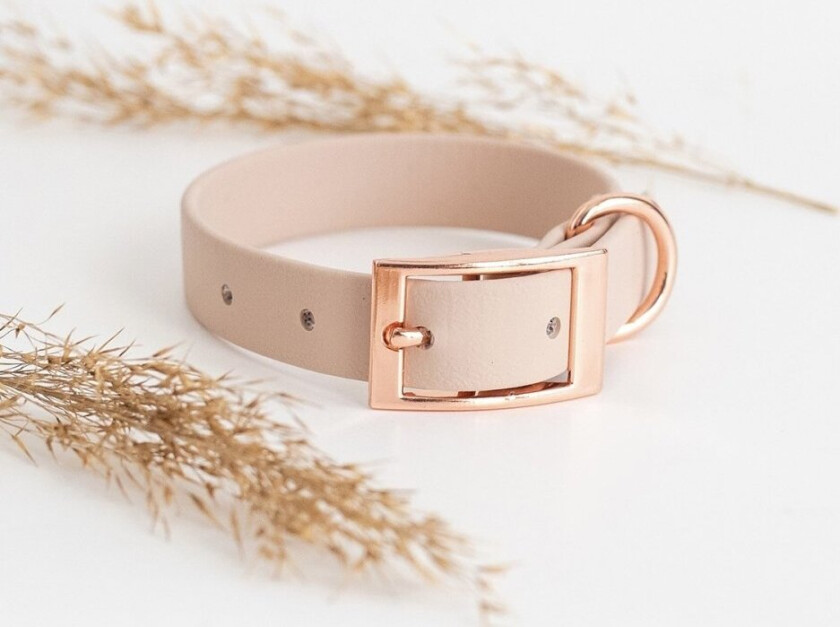 Tyylivoitto Classy Hundehalsbånd Beige (XXS)