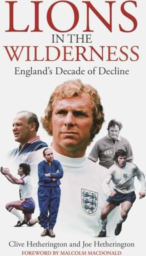 Lions in the Wilderness av Clive Hetherington, Joe Hetherington
