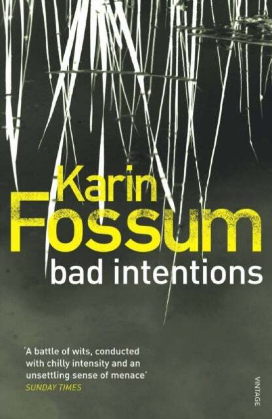 Bad Intentions av Karin Fossum