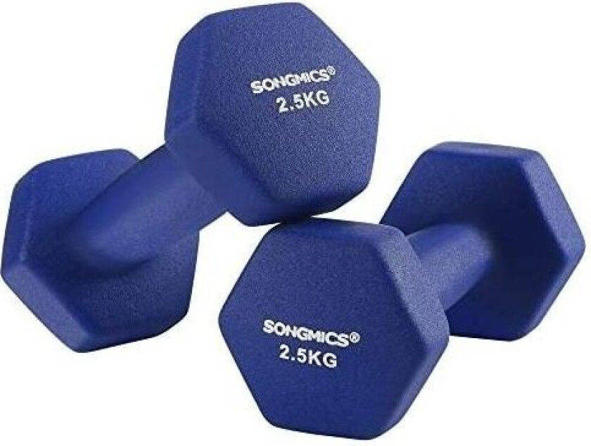 Sett med 2 manualer, 2 x 2,5 sklisikre håndvekter i neopren med matt finish, hjemmetrening, kondisjonstrening, blå SYL65BU