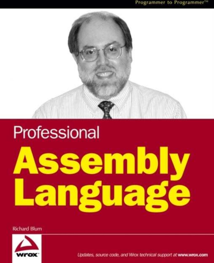 Professional Assembly Language av Richard Blum