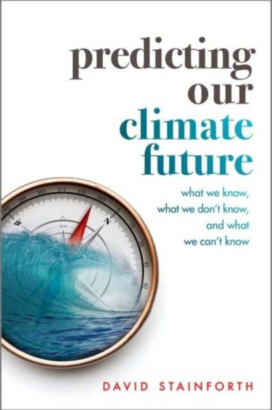 Predicting Our Climate Future av David (Professorial Research Fellow Principal Research Fellow London School of Economics and Political Science) Stain