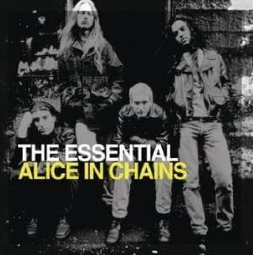 Alice In Chains - The Essential Alice In Chains (2CD)