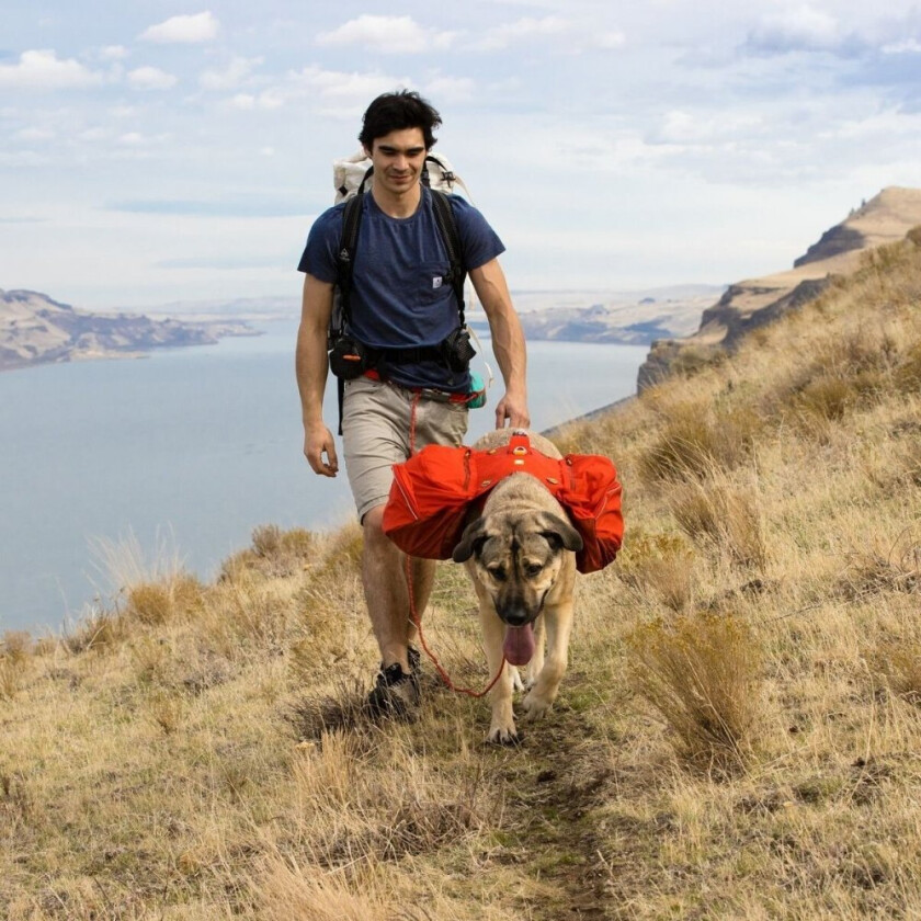 Ruffwear Palisades Kløveveske Rød (L/XL)