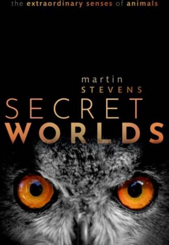 Secret Worlds av Martin (University of Exeter University Stevens