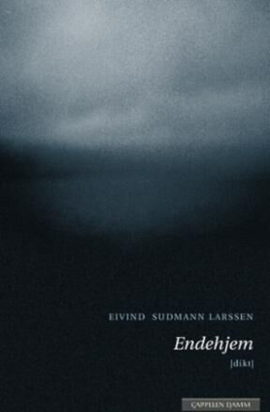 Endehjem av Eivind Sudmann Larssen