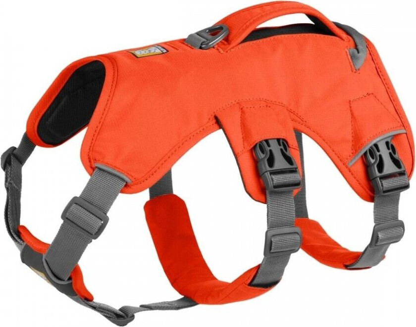 Bilde av Ruffwear Web Master Hundesele Oransje (S)