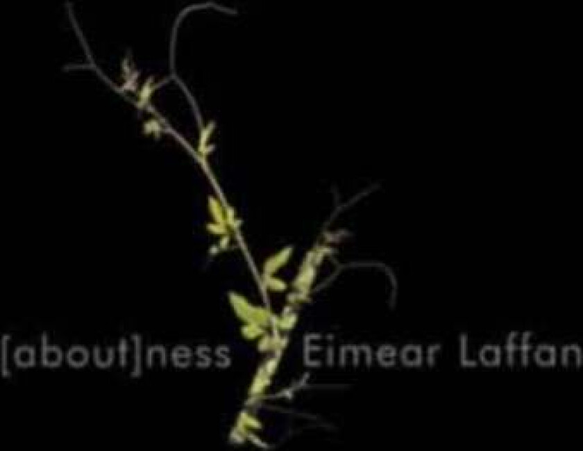 Aboutness Av Eimear Laffan