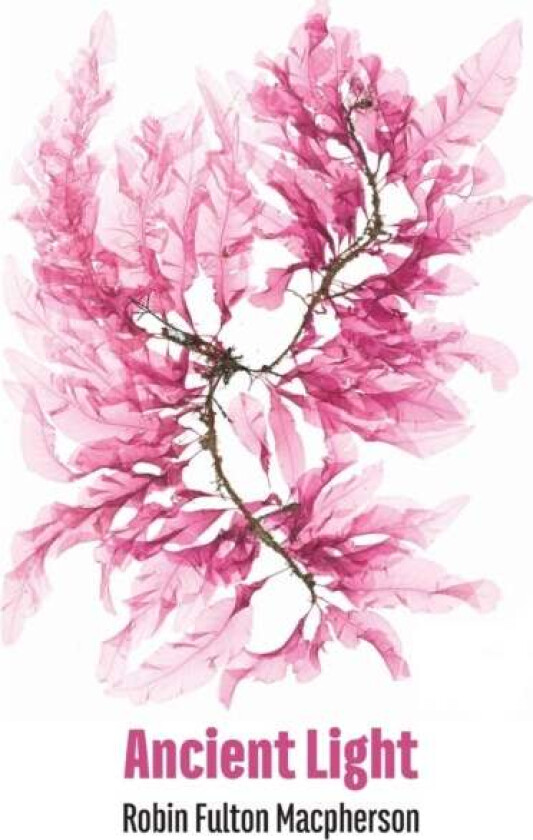 Ancient Light av Robin Fulton Macpherson